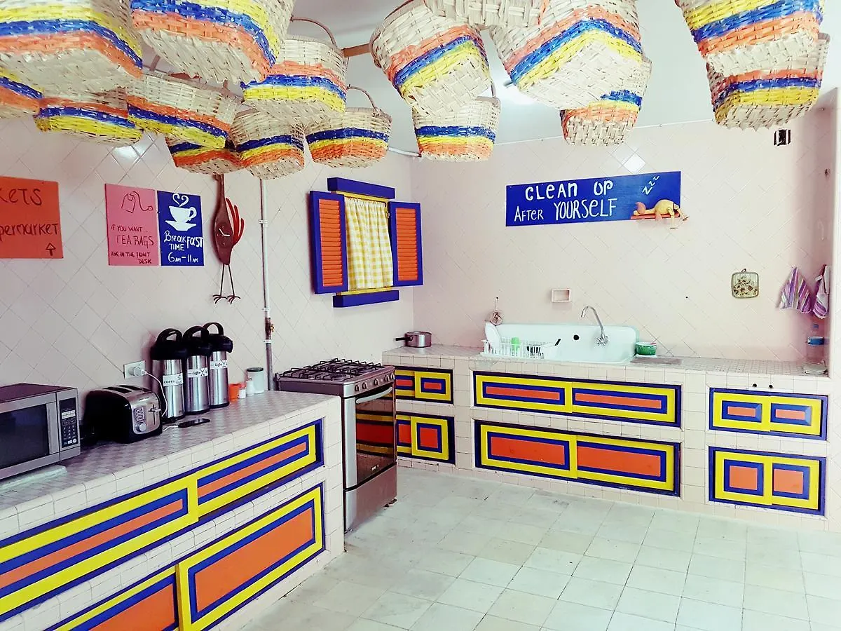 The Pelican Larry Hostel Cali Colombia